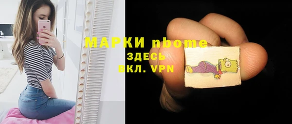 МДПВ Богородск