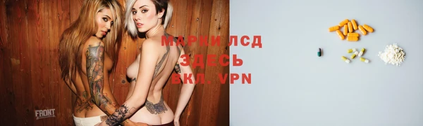 прущие крисы Бородино