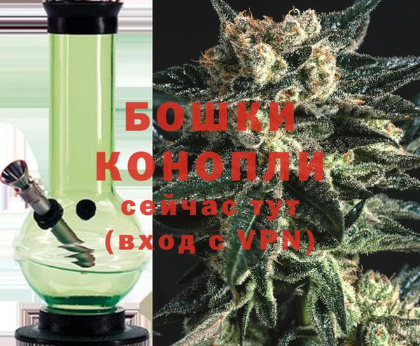 прущие грибы Богородицк