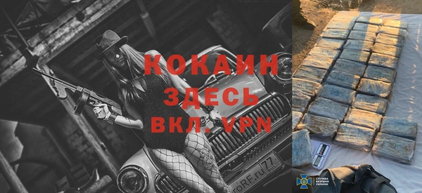 прущие крисы Бородино