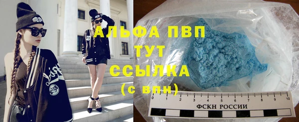 прущие крисы Бородино