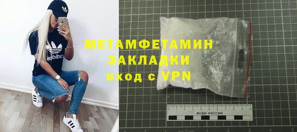 прущие грибы Богородицк