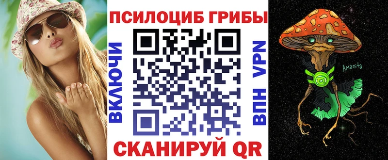 Псилоцибиновые грибы мицелий  Купить где  Нефтекумск 