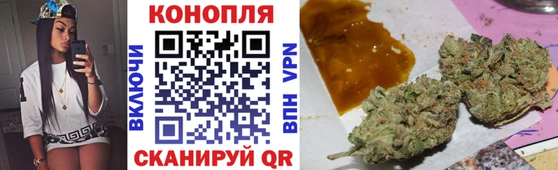 Конопля план  Купить закладки  Нефтекумск 